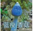 藍(lán)瘦香菇什么梗 柯尼卡美能達(dá)復(fù)印機(jī)新代碼？